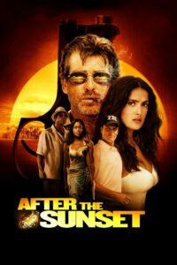 After the Sunset (2004) พยัคฆ์โคตรเพชร