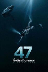 47 Meters Down (2017) ดิ่งลึกเฉียดนรก