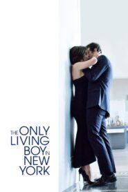 The Only Living Boy in New York (2017) ถ้าเหงา แล้วเรารักกันได้ไหม