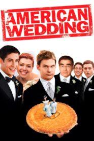 American Pie 3 Wedding (2003) อเมริกันพาย 3 แผนแอ้มด่วน ป่วนก่อนวิวาห์