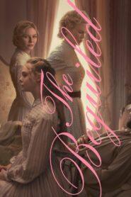 The Beguiled (2017) เล่ห์ลวง พิศวาส ปรารถนา